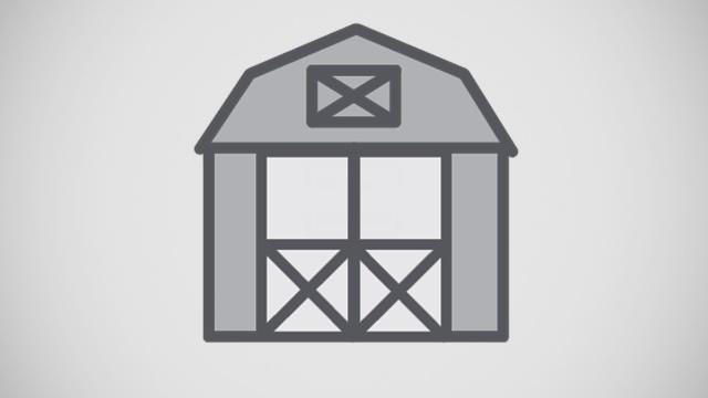 Pro Series (Metal) - Lofted Barn  12 x 20